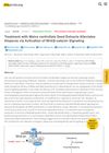 Treatment with Malva Verticillata Seed Extracts Alleviates Alopecia via Activation of Wnt/β-Catenin Signaling
