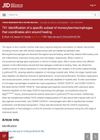 Identification of a Specific Subset of Monocytes/Macrophages That Coordinates Skin Wound Healing