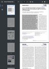 Human Fibroblast-Derived Matrix Hydrogel Accelerates Regenerative Wound Remodeling Through Interactions With Macrophages