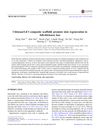 Chitosan/LiCl Composite Scaffolds Promote Skin Regeneration in Full-Thickness Loss