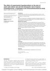 The Effect of Experimental Hypothyroidism on the Skin of Adult Male Albino Rats and the Therapeutic Role of Topical Triiodothyronine
