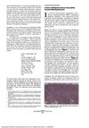 A Case of Relapsed Leprosy Successfully Treated With Sparfloxacin