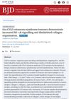 CYLD Cutaneous Syndrome Tumors Demonstrate Increased NF-kB Signaling and Diminished Collagen Organization