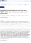 Lymphatic Remodeling and Metabolic Rescue by VEGFR-3/DHA-Coordinated Microneedles for Hair Regeneration