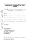 Principles and Mechanisms of Regeneration in the Mouse Model for Wound-Induced Hair Follicle Neogenesis