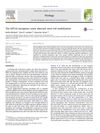 The HPV16 Oncogenes Cause Aberrant Stem Cell Mobilization