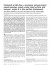 Cloning of Wrinkle-Free, a Previously Uncharacterized Mouse Mutation, Reveals Crucial Roles for Fatty Acid Transport Protein 4 in Skin and Hair Development