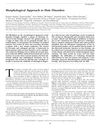 Morphological Approach to Hair Disorders