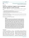 Label-Free Multiphoton Imaging to Assess Neoadjuvant Therapy Responses in Breast Carcinoma