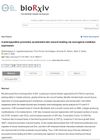 4-Aminopyridine Promotes Accelerated Skin Wound Healing via Neurogenic-Mediator Expression