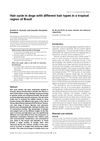 Hair Cycle in Dogs with Different Hair Types in a Tropical Region of Brazil