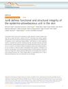 JunB Defines Functional And Structural Integrity Of The Epidermal-Pilosebaceous Unit In The Skin