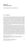 Skin Regeneration: Strategies and Innovations
