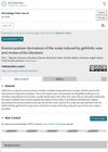 Erosive Pustular Dermatosis of the Scalp Induced by Gefitinib: Case and Review of the Literature