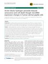 Arctiin Blocks Hydrogen Peroxide-Induced Senescence and Cell Death Through MicroRNA Expression Changes in Human Dermal Papilla Cells