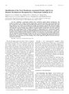 Identification of the Novel Membrane-Associated Protein AgK114 on Hamster Keratinocytes Recognized by a Monoclonal Antibody K114