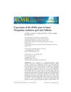 Expression of the RORα Gene in Inner Mongolian Cashmere Goat Hair Follicles