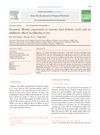 Dynamic Wnt5a Expression in Murine Hair Follicle Cycle and Its Inhibitory Effects on Follicular Growth