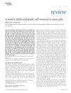 A Matter of Life and Death: Self-Renewal in Stem Cells