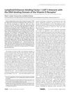 Lymphoid Enhancer-Binding Factor-1 Interacts with the DNA-Binding Domain of the Vitamin D Receptor