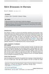 Skin Diseases in Horses