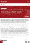 Mitochondrial Function in Murine Skin Epithelium Is Crucial for Hair Follicle Morphogenesis and Epithelial-Mesenchymal Interactions