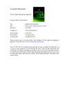 PCOS: Update and Diagnostic Approach