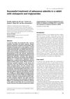 Successful Treatment of Sebaceous Adenitis in a Rabbit with Ciclosporin and Triglycerides