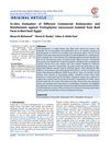 In Vitro Evaluation of Different Commercial Antimycotics and Disinfectants Against Trichophyton Verrucosum Isolated From Beef Farm in Beni-Suef, Egypt