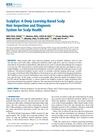 ScalpEye: A Deep Learning-Based Scalp Hair Inspection and Diagnosis System for Scalp Health