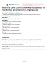 Seasonal Gene Expression Profile Responsible for Hair Follicle Development in Angora Goats