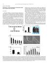 Progranulin, A Secreted Tumorigenesis And Dementia-Related Factor, Regulates Mouse Hair Growth