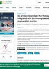 3D-Printed Degradable Hair Follicle Hanging Drop Scaffolds Integrated With Tissue Engineered Skin Promotes Hair Follicle Regeneration In Vitro