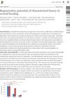 Regenerative Potential of Characterized Honey in Wound Healing