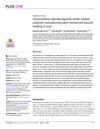 Chromolaena Odorata Layered-Nitrile Rubber Polymer Transdermal Patch Enhanced Wound Healing In Vivo
