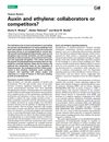 Auxin And Ethylene: Collaborators Or Competitors?