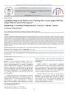 A Pathophysiological and Clinical Review of Androgenetic, Areata, Anagen Effluvium, Telogen Effluvium, and Traction Alopecia