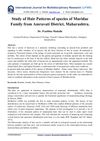 Study of Hair Patterns of Species of Muridae Family from Amravati District, Maharashtra