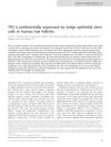TR3 Is Preferentially Expressed by Bulge Epithelial Stem Cells in Human Hair Follicles