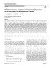 Thyroid Hormone Action in Epidermal Development and Homeostasis and Its Implications in the Pathophysiology of the Skin