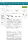Adipose-Derived Stem Cell Exosomes Antagonize the Inhibitory Effect of Dihydrotestosterone on Hair Follicle Growth by Activating Wnt/Beta-Catenin Pathway
