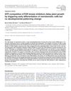 ATP-Competitive mTOR Kinase Inhibitors Delay Plant Growth by Triggering Early Differentiation of Meristematic Cells Without Developmental Patterning Change