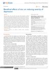 Beneficial Effects of Zinc on Reducing Severity of Depression