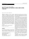 Effect of Castration and Finasteride on Urinary Oxalate Excretion in Male Rats