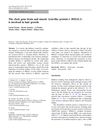 The Clock Gene Brain And Muscle Arnt-Like Protein-1 (BMAL1) Is Involved In Hair Growth