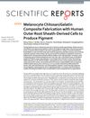 Melanocyte Chitosan/Gelatin Composite Fabrication with Human Outer Root Sheath-Derived Cells to Produce Pigment