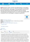 Research Work of Prof. De-Eknamkul: Mechanistic Synergy of Hair Growth Promotion by Avicennia Marina Extract and Avicequinone C in Dermal Papilla Cells from Androgenic Alopecia Patients