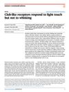 Club-Like Receptors Respond to Light Touch but Not to Whisking