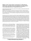 White Lupin Cluster Root Acclimation to Phosphorus Deficiency and Root Hair Development Involve Unique Glycerophosphodiester Phosphodiesterases
