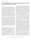 P75 Neurotrophin Receptor Antagonist Retards Apoptosis-Driven Hair Follicle Involution (Catagen)